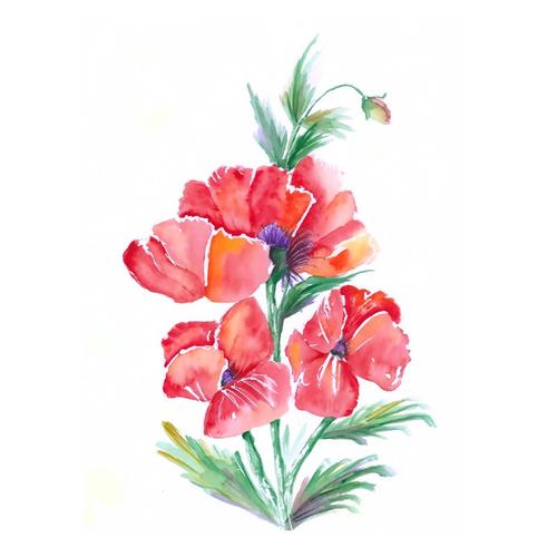 位圖 植物 寫意花卉 花朵 免費素材