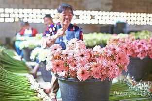 供應鏈條長產品壽命短 鮮花電商能最終 盛開 嗎