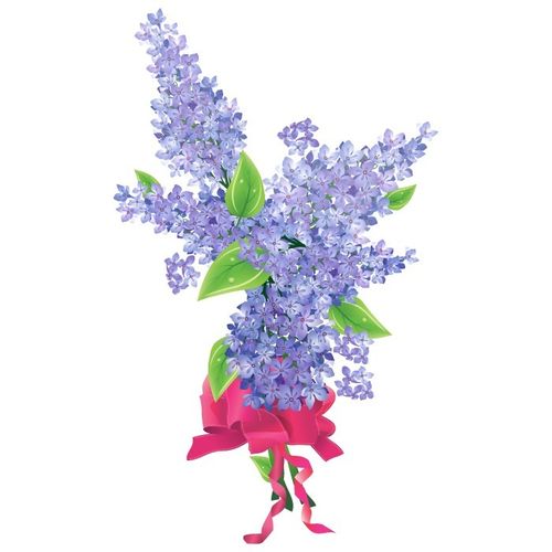矢量圖 植物 寫意花卉 花朵 野花 免費素材