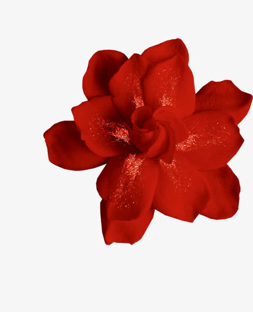 紅色的花高清素材 png 設(shè)計圖片 免費下載 頁面網(wǎng)頁 平面電商 創(chuàng)意素材 png素材 素材