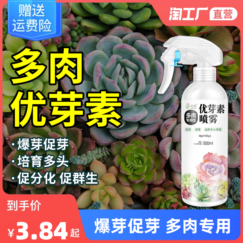 當前網購流行產品