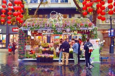 廣州網紅打卡點“上新”!探訪北京路“鮮花體驗店”