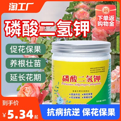 當前網購流行產品