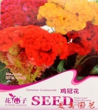 【盆栽室內花卉批發】最新最全盆栽室內花卉批發 產品參考信息