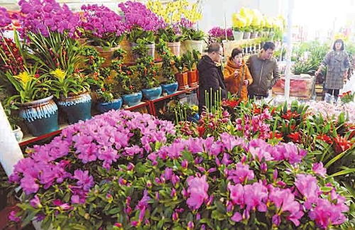 山西各地歡樂祥和安全過大年