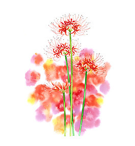 寫意花卉圖片_寫意花卉素材_寫意花卉