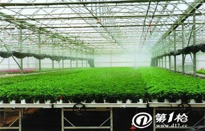 曲靖花卉育苗移動苗床-從設計生產到成品安裝-安平華耀