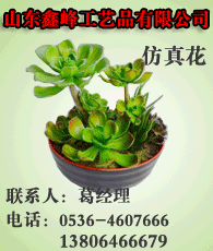 仿真花企業(yè)大全 仿真花企業(yè)大黃頁 仿真花生產(chǎn)商