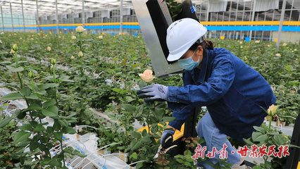 【隴上實干家】魯鴻宙:深耕現(xiàn)代花卉產(chǎn)業(yè) 以實干踐行責(zé)任與擔(dān)當(dāng)