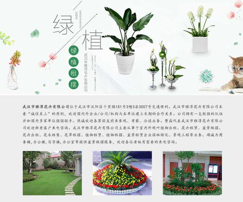 武漢綠植出租 雅淳花卉出租 綠植出租公司高清圖片 高清大圖