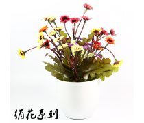 【汕頭盆景產品庫】_價格/圖片/廠家 - 廣東產品庫