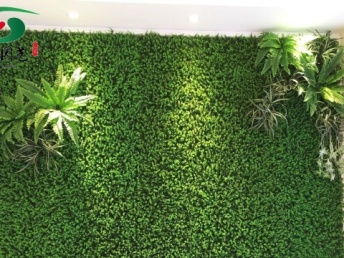 圖 徐匯 斜土路仿真植物墻 真的植物墻 庭院景觀公司 上海鮮花綠植