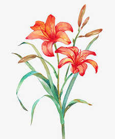紅色手繪舞蹈插畫