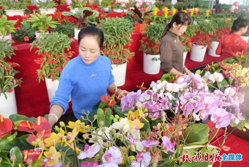 百益植物工廠20多萬株花卉綻放 用花來妝點你的2021吧