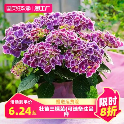 當前網購流行產品
