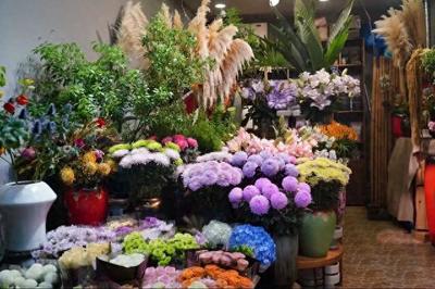 閔行這兩個花卉市場,涵蓋高端、平價產品,快去逛逛吧!