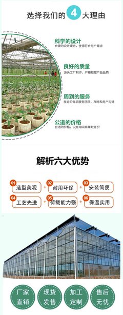 玻璃溫室DP-H 景農(nóng)農(nóng)業(yè)育苗玻璃大棚工程 花卉設(shè)計