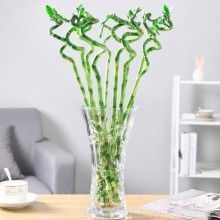 重慶玻星玻璃制品廠 熱銷產(chǎn)品
