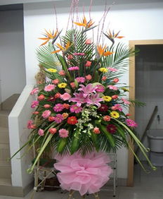 師宗網上花店 商品內容 天堂鳥 粉色多頭百合 粉玫瑰 扶郎 黃鶯 時尚配花 綠葉 商品包裝 單層1.8米高開業花籃