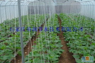【河南鄭州花卉滴灌廠家直銷 服務周到的圖片】-鄭州 鞏義易登網