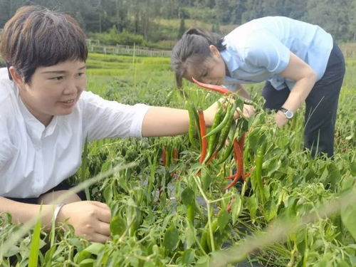 建行金融活水澆灌出的 火紅事業