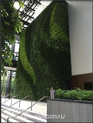 仿真植物墻效果圖
