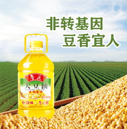 魯花集團產品介紹