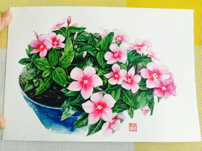 水彩 花卉 手繪 大家多多指點 藍色花盆
