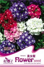 【美女種子】最新最全美女種子 產品參考信息