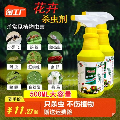 當前網購流行產品