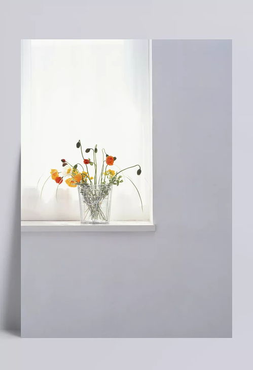 白色窗臺(tái)上的美麗插花 白色,插花,窗臺(tái),花苞,黃色花朵,橘色花朵,美麗,攝影圖片,生活百科,生活用品,透明容器 tintin