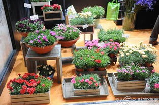 2015中國花卉食品暨花卉深加工展覽會5月登陸上海